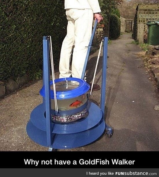 Walk your fish