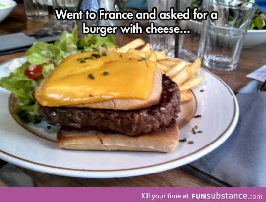 Burger du fromage