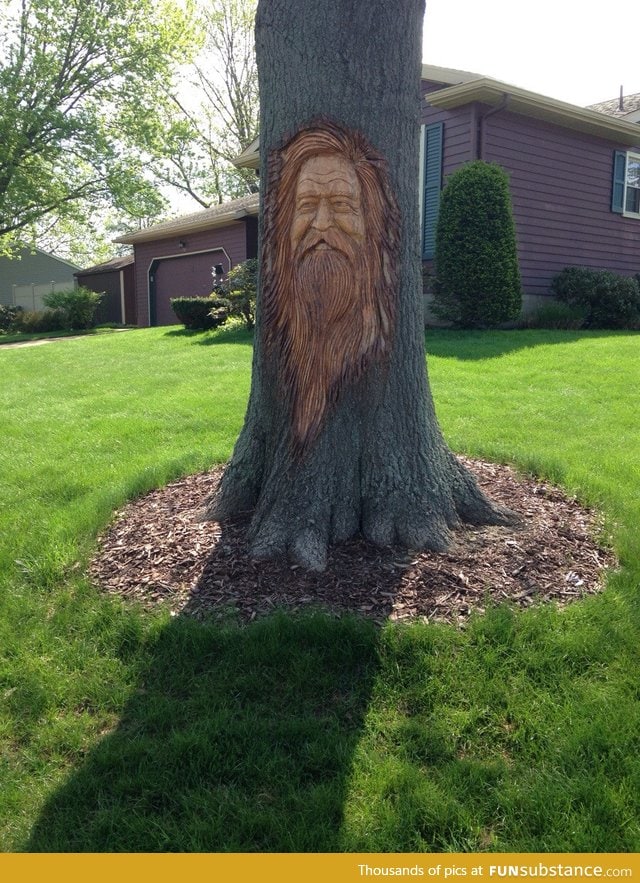 Carved tree in the neighborhood