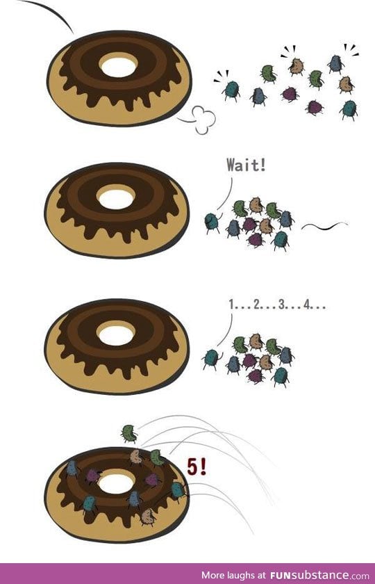 The five second rule