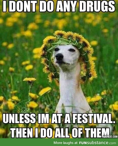 Festival girl quote