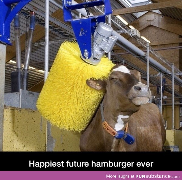 Happy hamburger