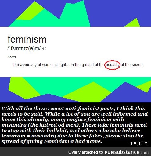 True definition of Feminism