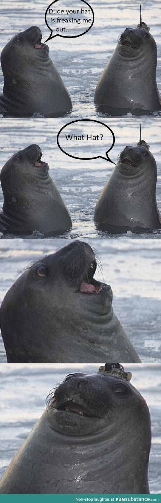 Seal life