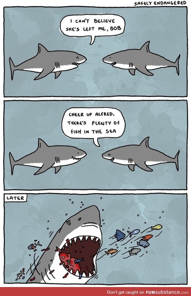 Alfred the Shark