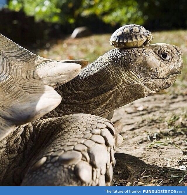 140 year old mom with her 5 day old son