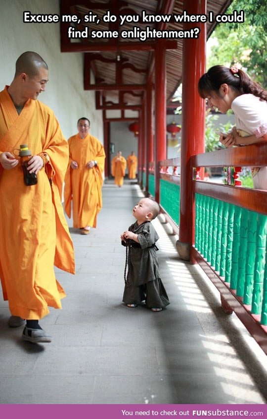 Adorable little monk