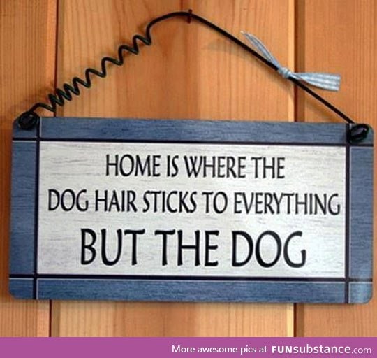Dog owners will understand