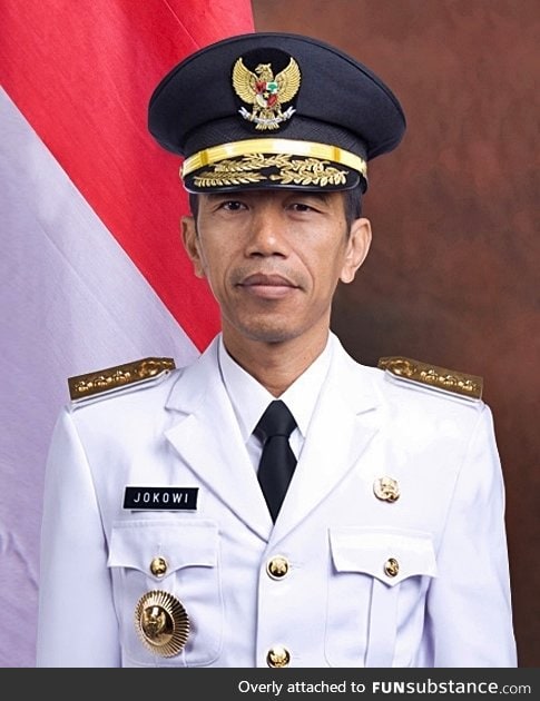 The New President of Indonesia looks like an Asian Obama!