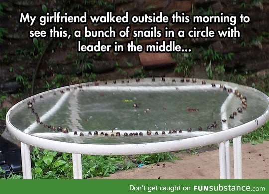 Snail ritual