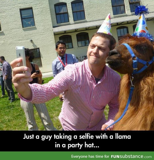 The llama was the soul of the party