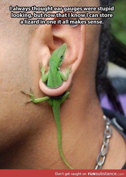 You can store a lizard in these