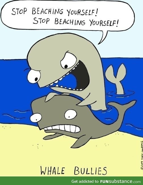 Whale bullies
