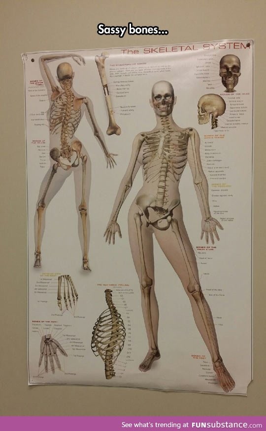 This skeleton is fabulous