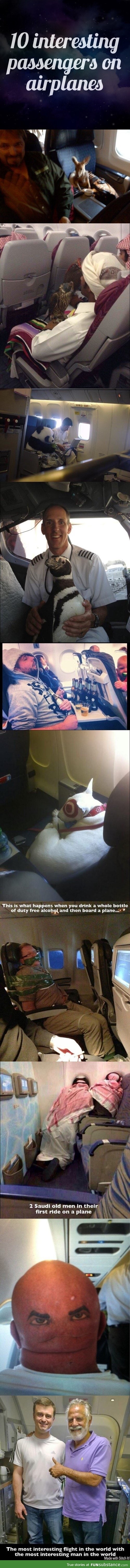 Interesting plane passengers