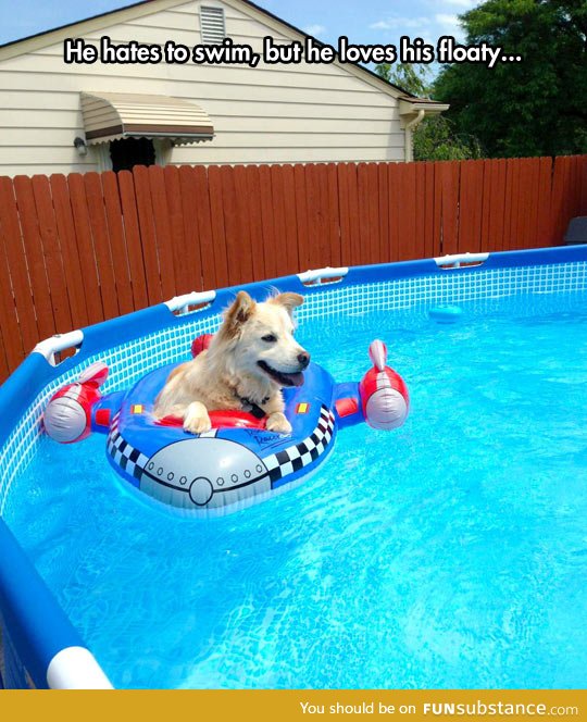 Dog floating on a spaceship