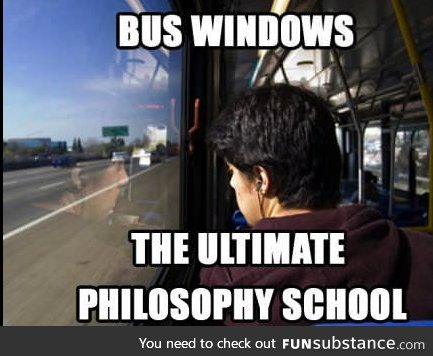 School bus windows