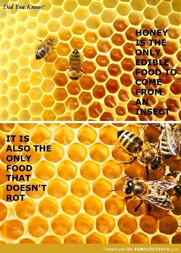 Did you know about honey