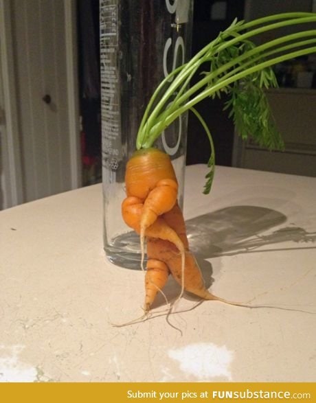 Turnip the beat! (I know it's a carrot)