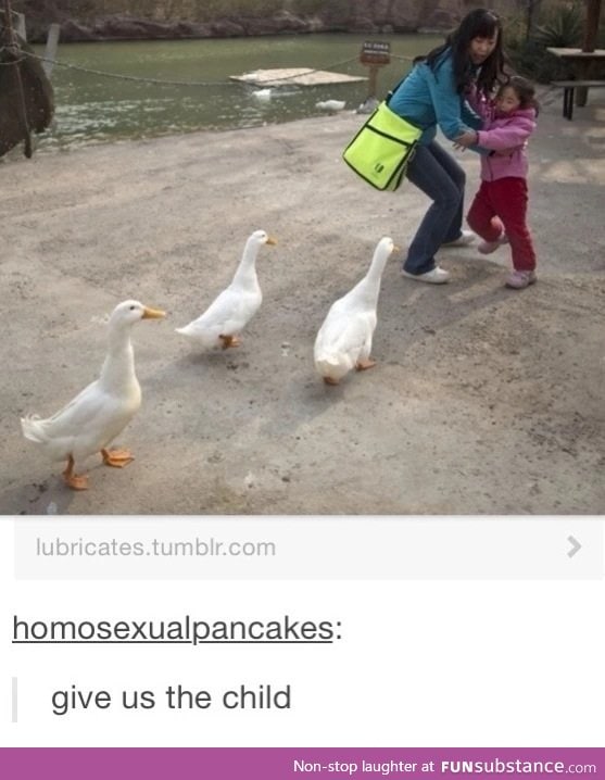 please beware of the ducks.