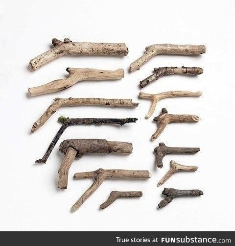 Kid's firearm collection