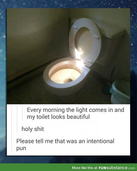 The holy toilet