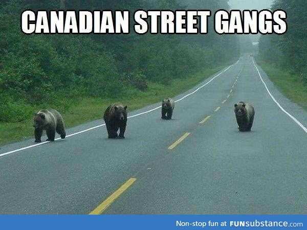 Canadian street gang