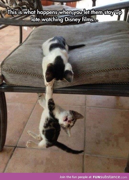 Kittens acting in lion king