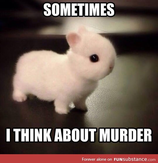 Bunnies aren't just cute like everybody thinks