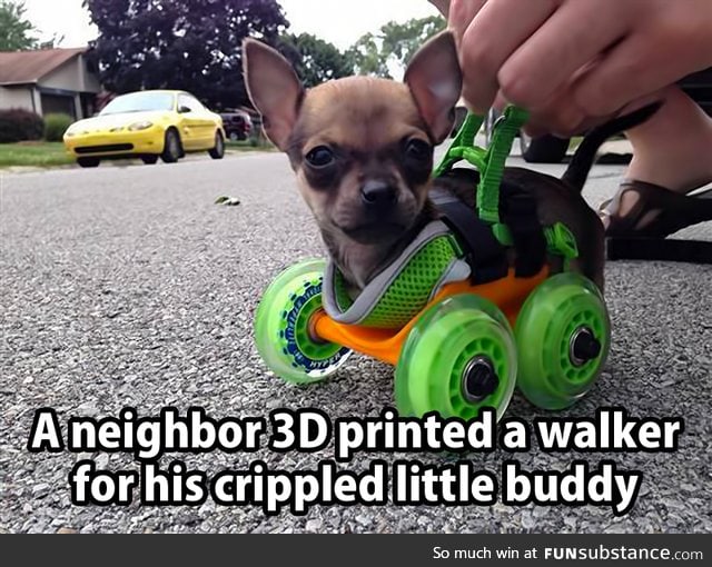 Epic! (the frame is 3D printed, not the wheels.)