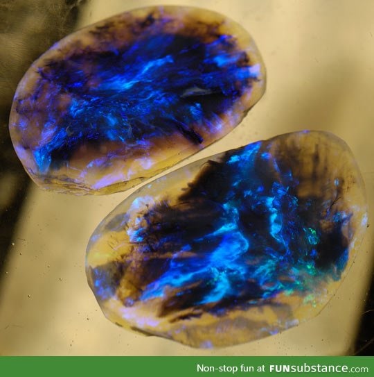 Black opals look like cosmos's capsules