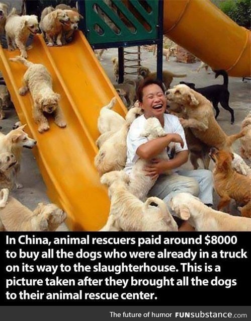 Faith in Humanity Restored !