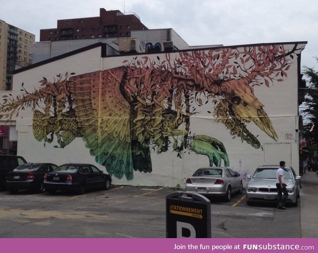 This building art in Montreal blew me away