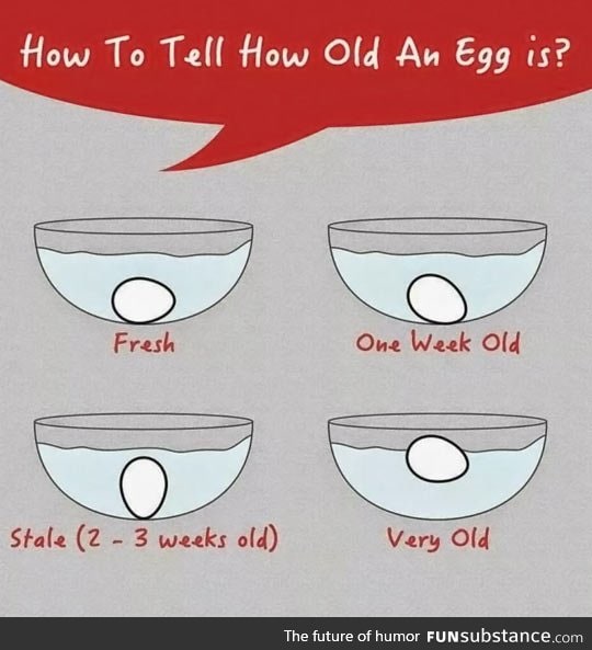 How to tell how old an egg is