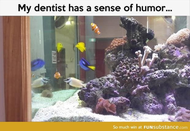 What an awesome dentist