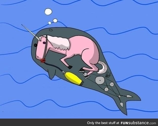The truth behind narwhals
