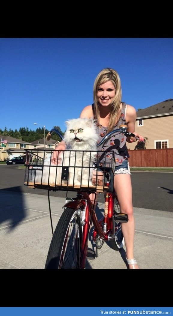 Cat's first bike ride. Was not pleased