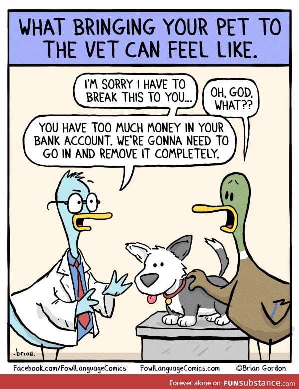 A visit to the vet.