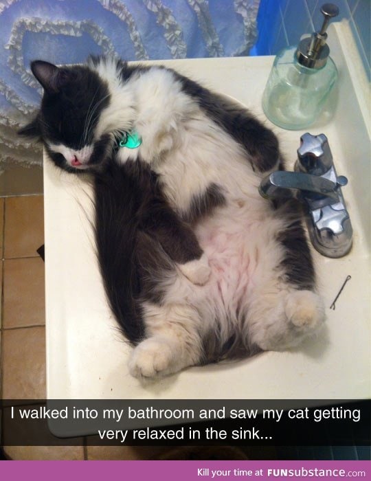 Relaxing in the sink