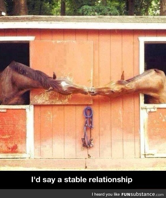 Stable relationship