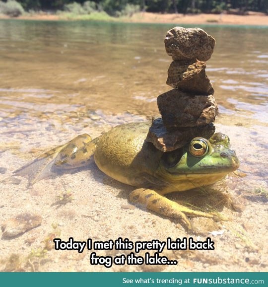 Frog balance