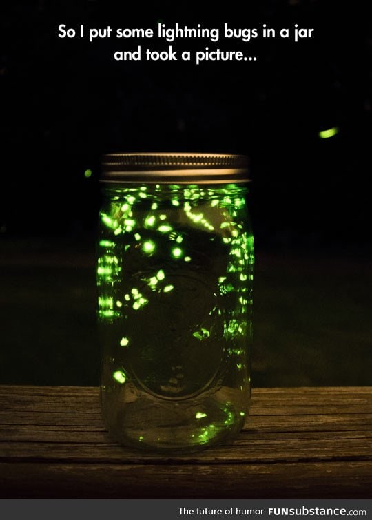 Lightning bugs in a jar