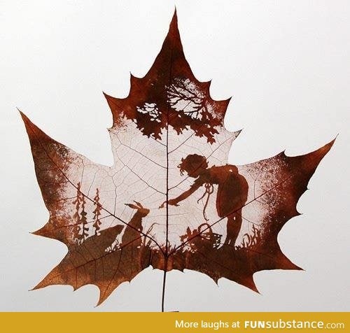 Amazing leaf art!!!