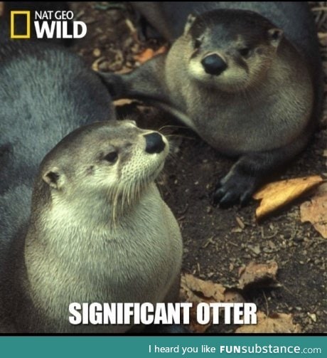 Two thumbs to the people over at nat geo wild