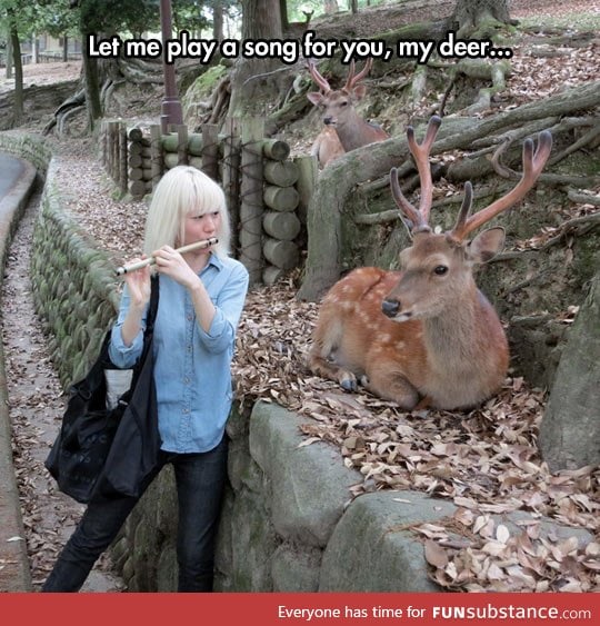 Just for you, my deer