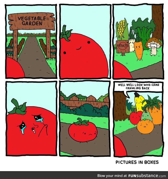Poor delicious tomato can't catch a break