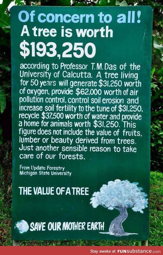 The value of a tree
