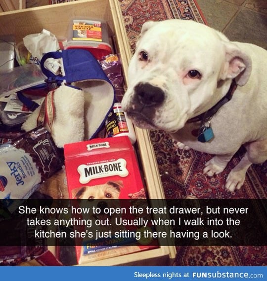 Respect the treat drawer