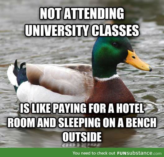 An important lesson for all university students