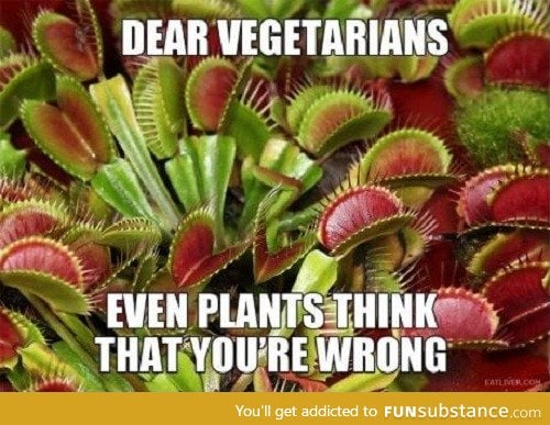 Dear vegeterians